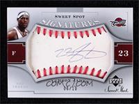 LeBron James #/10